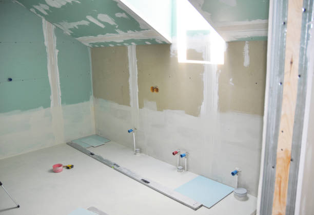 Best Post-Construction Mold Inspection  in Mokena, IL