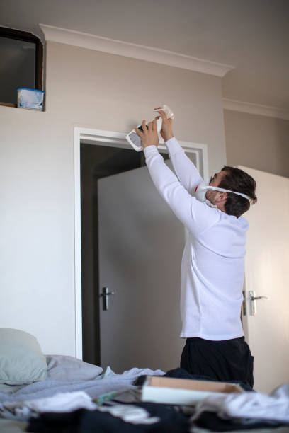 Best Environmental Consulting for Mold Prevention  in Mokena, IL
