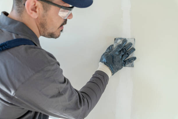 Best Basement Mold Removal  in Mokena, IL