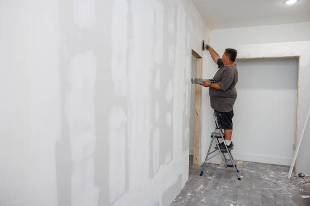 Mold Remediation for Vacation Homes in Mokena, IL