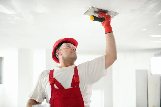 Best Crawl Space Mold Remediation  in Mokena, IL