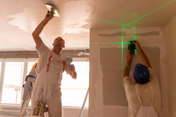 Best Mold Odor Removal Services  in Mokena, IL